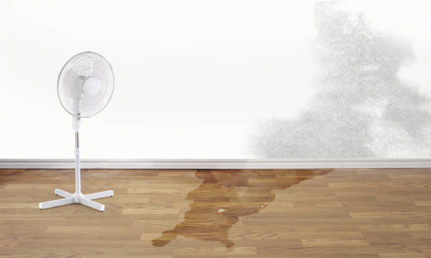 Best Residential water damage restoration  in Evart, MI