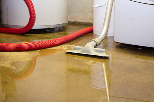 Best 24-hour water damage restoration  in Evart, MI