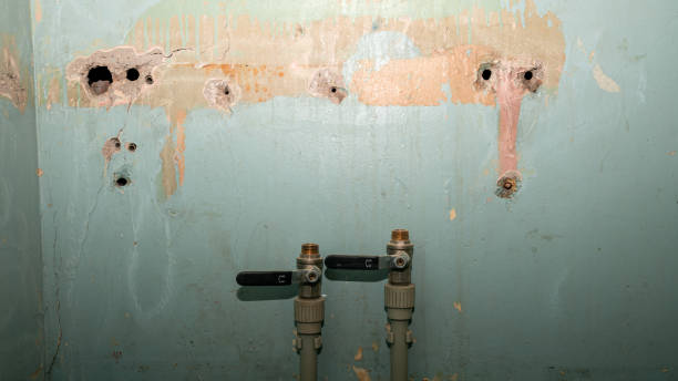 Best Water damage restoration near me  in Evart, MI