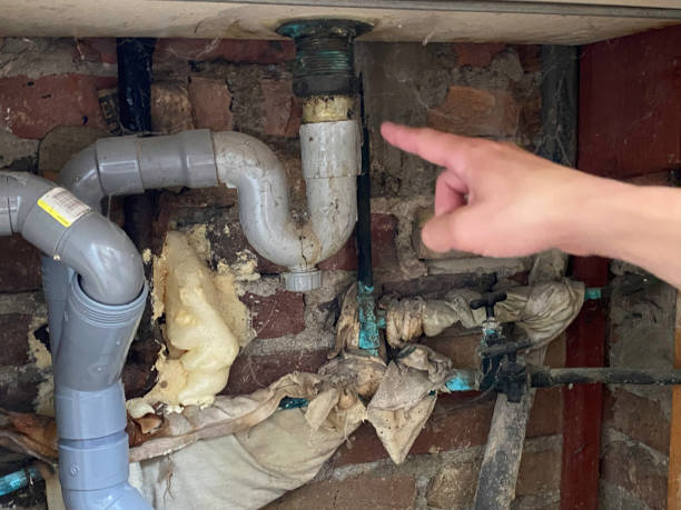 Best Basement water damage restoration  in Evart, MI