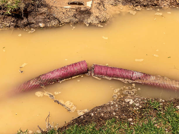 Local water damage restoration in MI